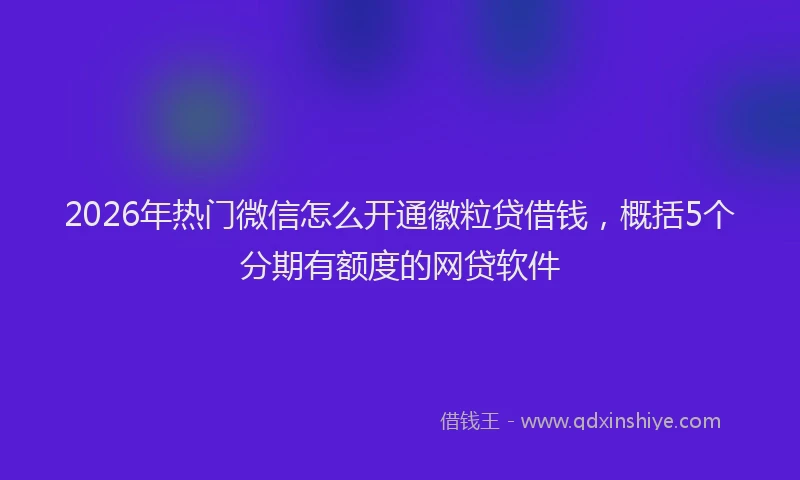 2026年热门微信怎么开通徽粒贷借钱，概括5个分期有额度的网贷软件