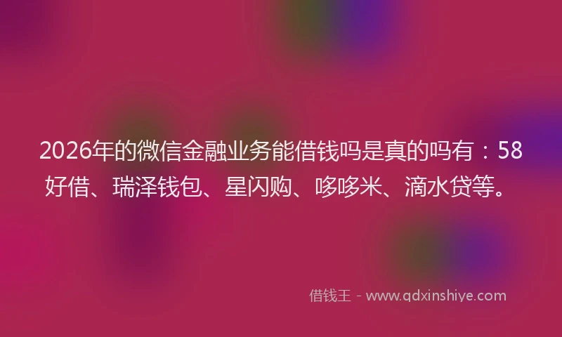 2026年的微信金融业务能借钱吗是真的吗有：58好借、瑞泽钱包、星闪购、哆哆米、滴水贷等。