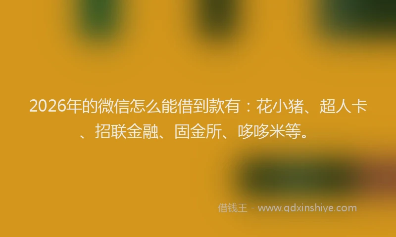 2026年的微信怎么能借到款有:花小猪、超人卡、招联金融、固金所、哆哆米等。