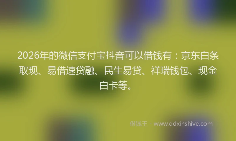 2026年的微信支付宝抖音可以借钱有：京东白条取现、易借速贷融、民生易贷、祥瑞钱包、现金白卡等。