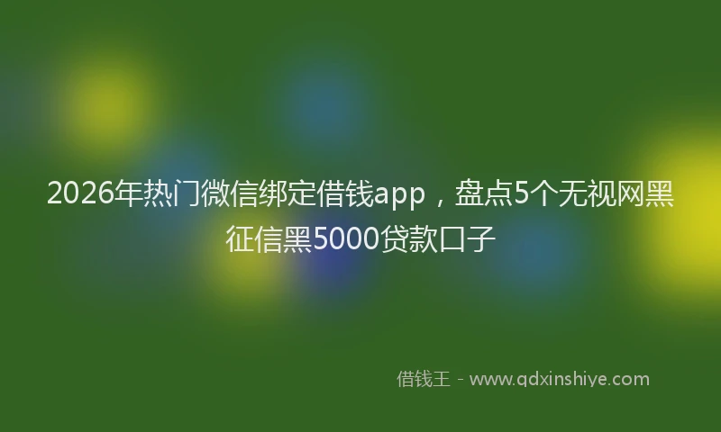 2026年热门微信绑定借钱app，盘点5个无视网黑征信黑5000贷款口子