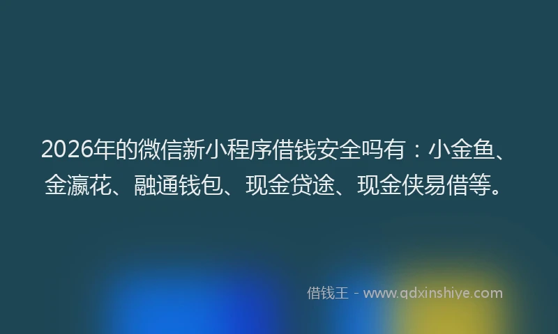 2026年的微信新小程序借钱安全吗有：小金鱼、金瀛花、融通钱包、现金贷途、现金侠易借等。