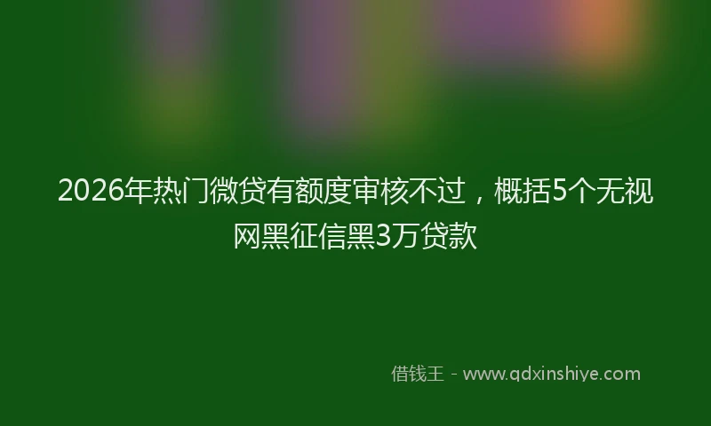 2026年热门微贷有额度审核不过，概括5个无视网黑征信黑3万贷款