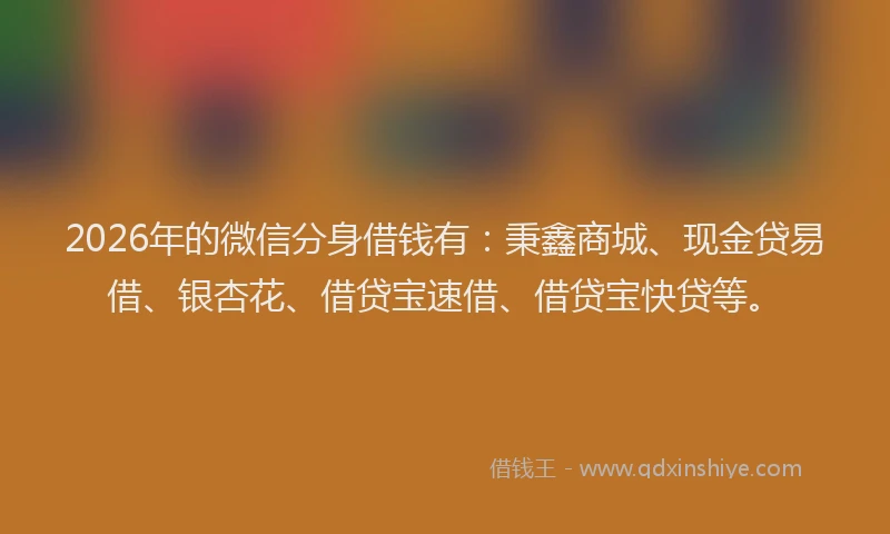 2026年的微信分身借钱有：秉鑫商城、现金贷易借、银杏花、借贷宝速借、借贷宝快贷等。