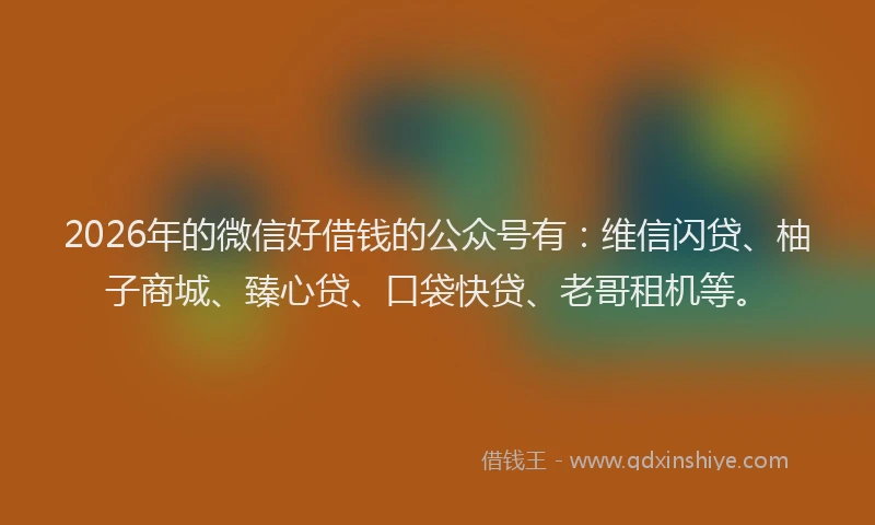 2026年的微信好借钱的公众号有：维信闪贷、柚子商城、臻心贷、口袋快贷、老哥租机等。
