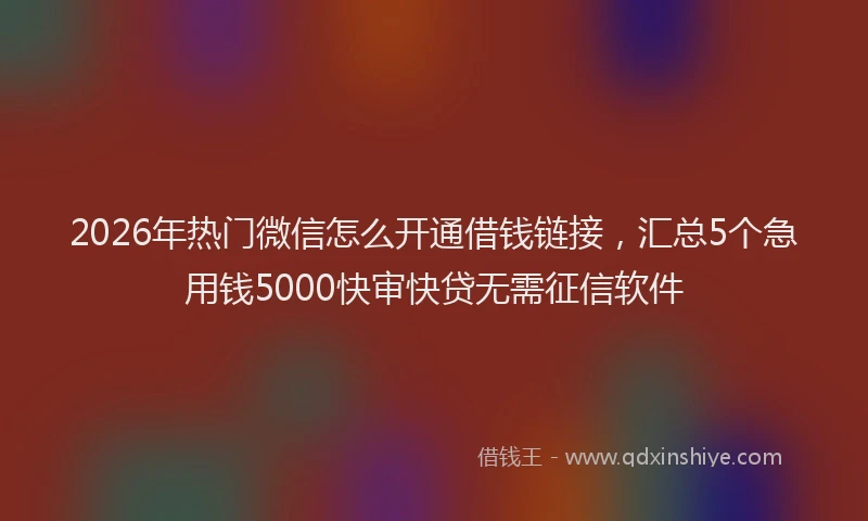 2026年热门微信怎么开通借钱链接，汇总5个急用钱5000快审快贷无需征信软件