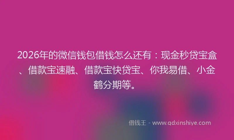 2026年的微信钱包借钱怎么还有：现金秒贷宝盒、借款宝速融、借款宝快贷宝、你我易借、小金鹤分期等。
