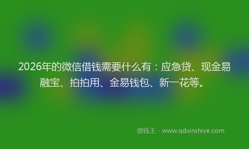 2026年的微信借钱需要什么有：应急贷、现金易融宝、拍拍用、金易钱包、新一花等。