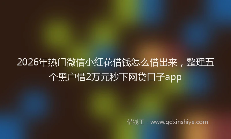 2026年热门微信小红花借钱怎么借出来，整理五个黑户借2万元秒下网贷口子app