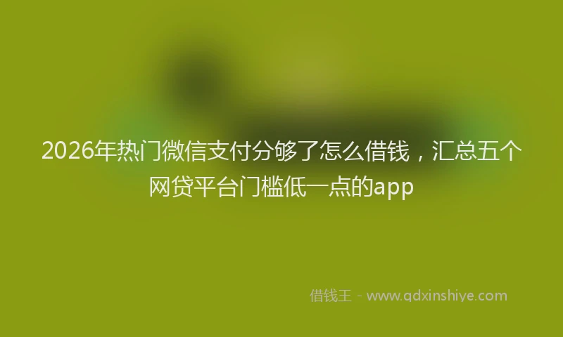 2026年热门微信支付分够了怎么借钱,汇总五个网贷平台门槛低一点的app
