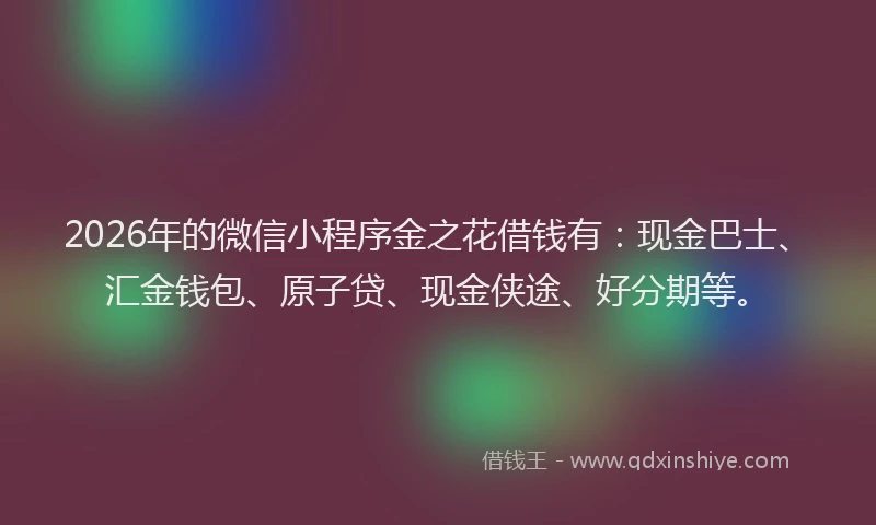 2026年的微信小程序金之花借钱有：现金巴士、汇金钱包、原子贷、现金侠途、好分期等。