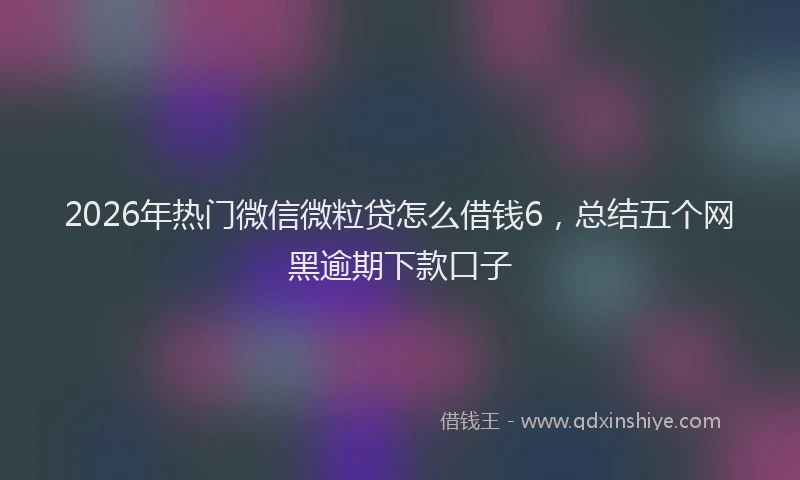 2026年热门微信微粒贷怎么借钱6，总结五个网黑逾期下款口子