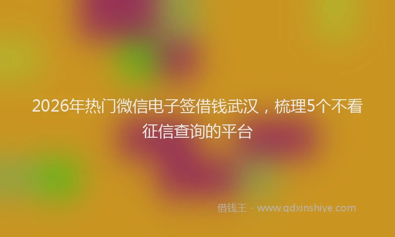 2026年热门微信电子签借钱武汉,梳理5个不看征信查询的平台