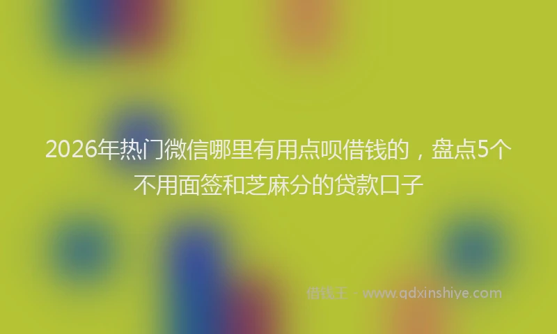 2026年热门微信哪里有用点呗借钱的，盘点5个不用面签和芝麻分的贷款口子