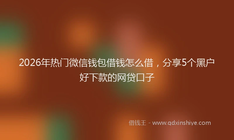 2026年热门微信钱包借钱怎么借，分享5个黑户好下款的网贷口子