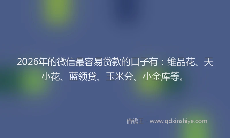 2026年的微信最容易贷款的口子有：维品花、天小花、蓝领贷、玉米分、小金库等。