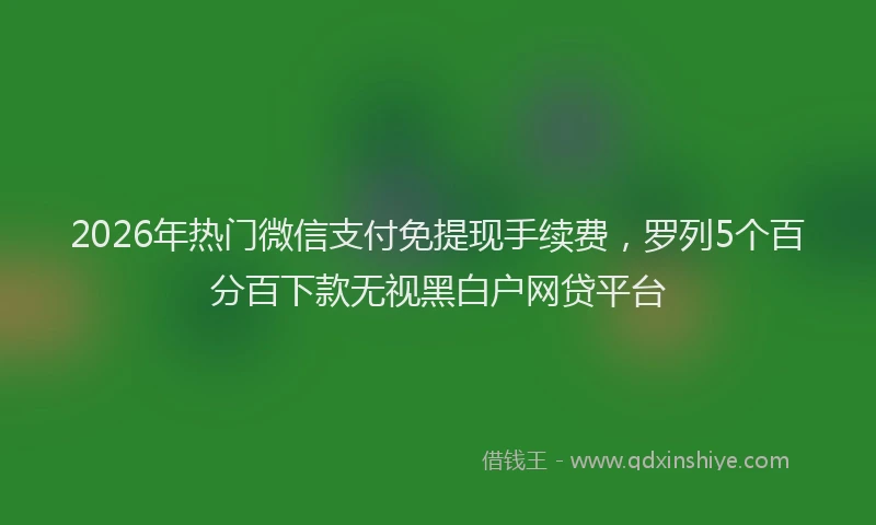 2026年热门微信支付免提现手续费，罗列5个百分百下款无视黑白户网贷平台