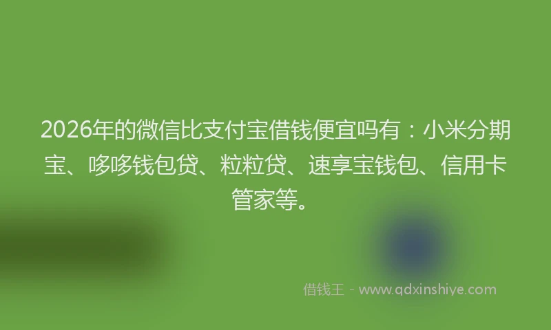 2026年的微信比支付宝借钱便宜吗有：小米分期宝、哆哆钱包贷、粒粒贷、速享宝钱包、信用卡管家等。