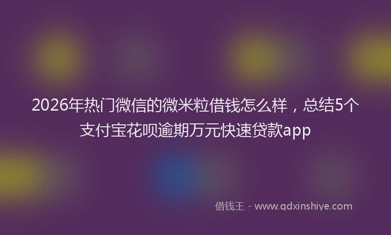 2026年热门微信的微米粒借钱怎么样，总结5个支付宝花呗逾期万元快速贷款app