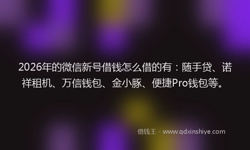 2026年的微信新号借钱怎么借的有：随手贷、诺祥租机、万信钱包、金小豚、便捷Pro钱包等。