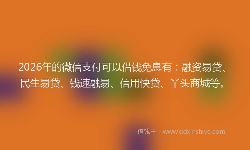 2026年的微信支付可以借钱免息有：融资易贷、民生易贷、钱速融易、信用快贷、丫头商城等。