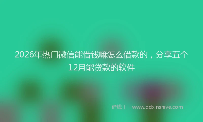 2026年热门微信能借钱嘛怎么借款的，分享五个12月能贷款的软件