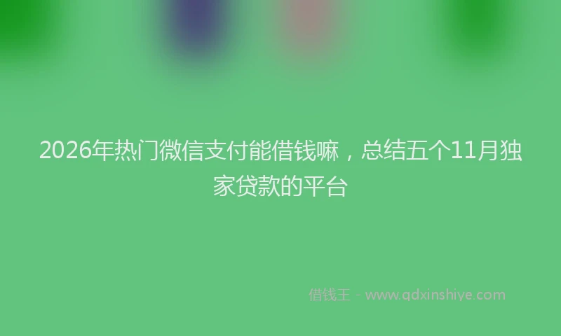 2026年热门微信支付能借钱嘛，总结五个11月独家贷款的平台