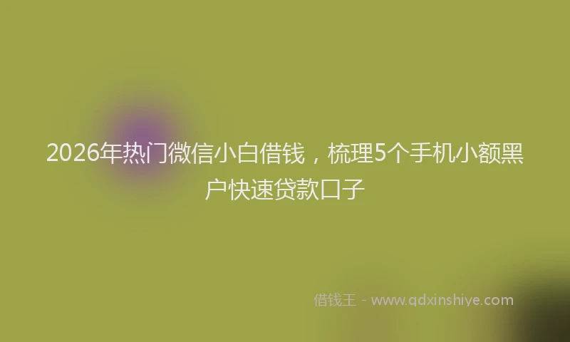 2026年热门微信小白借钱，梳理5个手机小额黑户快速贷款口子