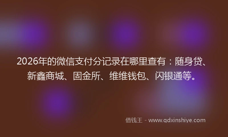 2026年的微信支付分记录在哪里查有：随身贷、新鑫商城、固金所、维维钱包、闪银通等。