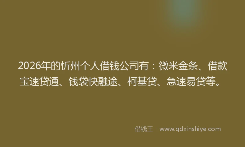 2026年的忻州个人借钱公司有：微米金条、借款宝速贷通、钱袋快融途、柯基贷、急速易贷等。
