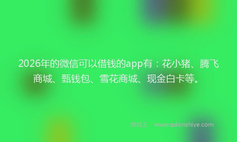 2026年的微信可以借钱的app有:花小猪、腾飞商城、甄钱包、雪花商城、现金白卡等。