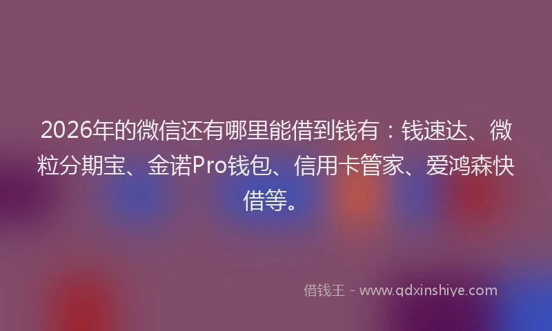2026年的微信还有哪里能借到钱有：钱速达、微粒分期宝、金诺Pro钱包、信用卡管家、爱鸿森快借等。