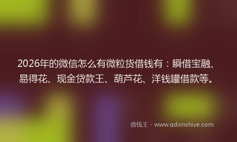 2026年的微信怎么有微粒货借钱有：瞬借宝融、易得花、现金贷款王、葫芦花、洋钱罐借款等。