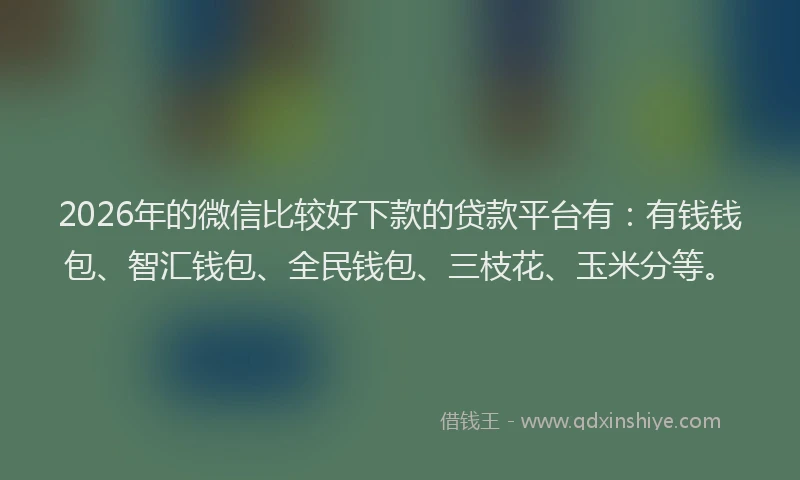 2026年的微信比较好下款的贷款平台有：有钱钱包、智汇钱包、全民钱包、三枝花、玉米分等。