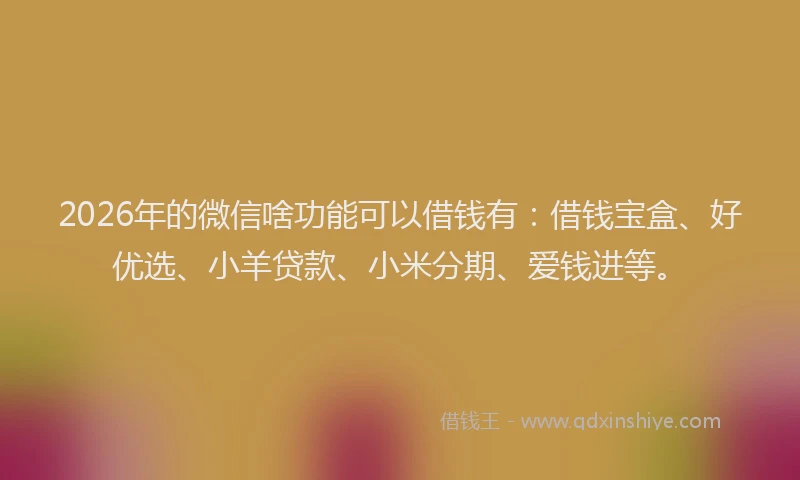 2026年的微信啥功能可以借钱有：借钱宝盒、好优选、小羊贷款、小米分期、爱钱进等。