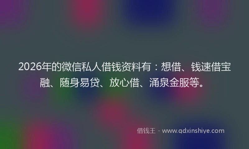 2026年的微信私人借钱资料有：想借、钱速借宝融、随身易贷、放心借、涌泉金服等。