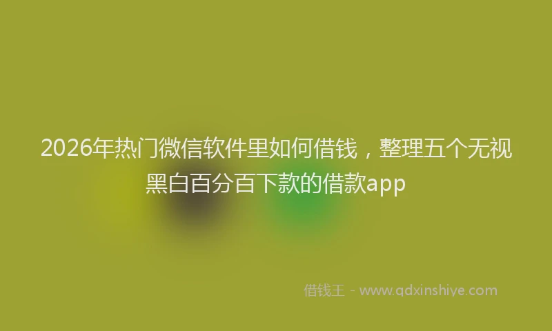2026年热门微信软件里如何借钱，整理五个无视黑白百分百下款的借款app