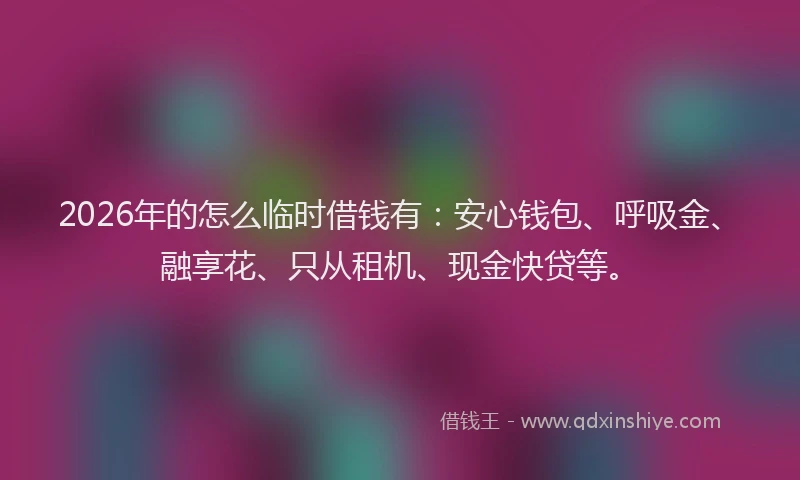 2026年的怎么临时借钱有：安心钱包、呼吸金、融享花、只从租机、现金快贷等。