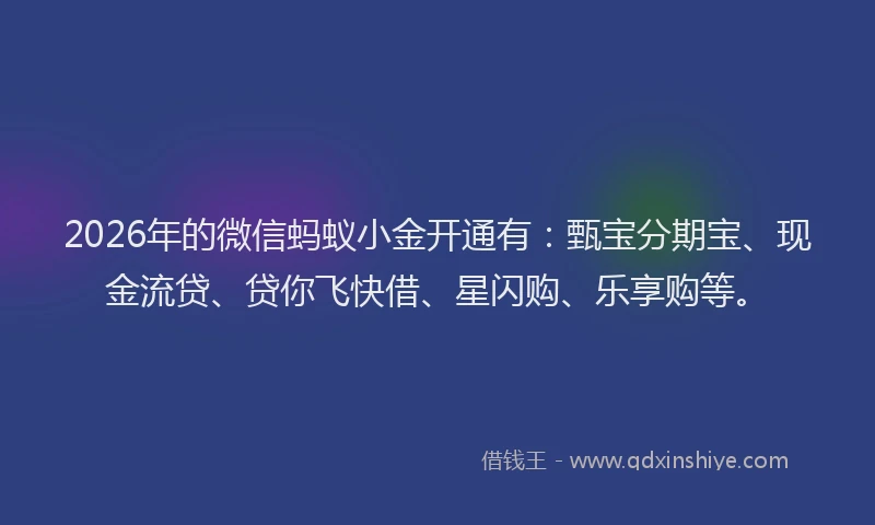 2026年的微信蚂蚁小金开通有：甄宝分期宝、现金流贷、贷你飞快借、星闪购、乐享购等。