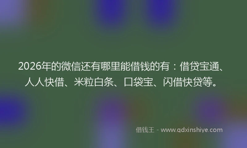 2026年的微信还有哪里能借钱的有：借贷宝通、人人快借、米粒白条、口袋宝、闪借快贷等。