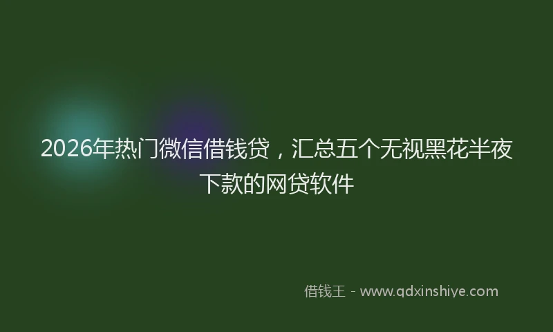 2026年热门微信借钱贷,汇总五个无视黑花半夜下款的网贷软件