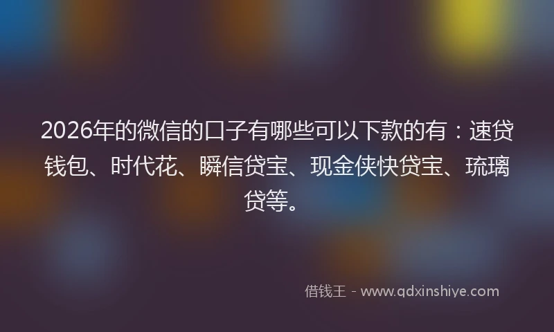 2026年的微信的口子有哪些可以下款的有：速贷钱包、时代花、瞬信贷宝、现金侠快贷宝、琉璃贷等。