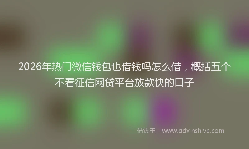 2026年热门微信钱包也借钱吗怎么借，概括五个不看征信网贷平台放款快的口子