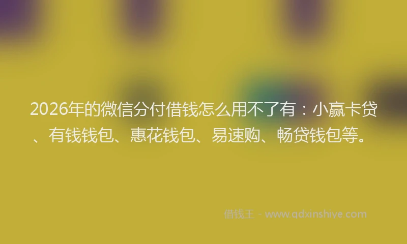 2026年的微信分付借钱怎么用不了有：小赢卡贷、有钱钱包、惠花钱包、易速购、畅贷钱包等。