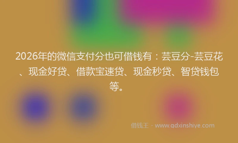 2026年的微信支付分也可借钱有:芸豆分-芸豆花、现金好贷、借款宝速贷、现金秒贷、智贷钱包等。