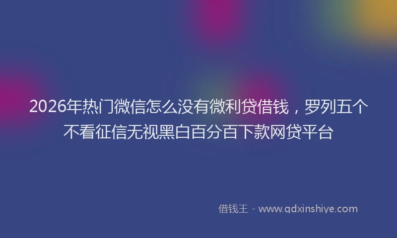 2026年热门微信怎么没有微利贷借钱，罗列五个不看征信无视黑白百分百下款网贷平台
