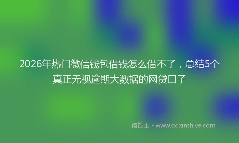 2026年热门微信钱包借钱怎么借不了，总结5个真正无视逾期大数据的网贷口子