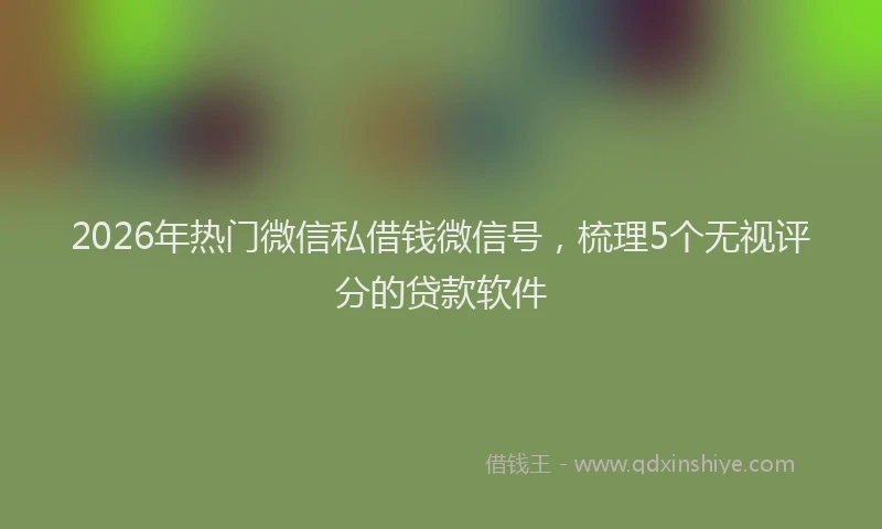 2026年热门微信私借钱微信号，梳理5个无视评分的贷款软件