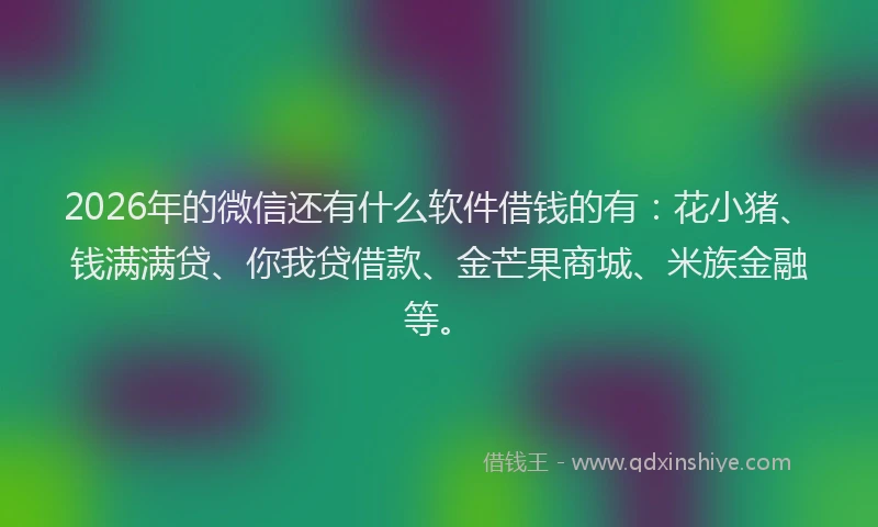 2026年的微信还有什么软件借钱的有：花小猪、钱满满贷、你我贷借款、金芒果商城、米族金融等。