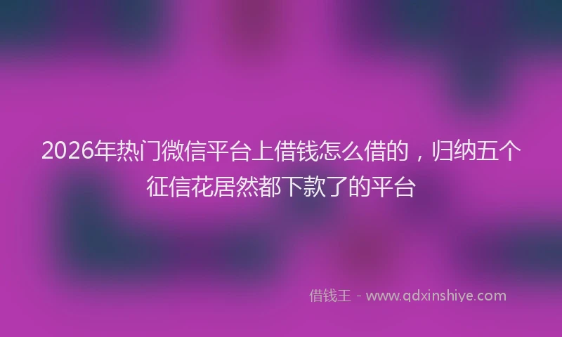 2026年热门微信平台上借钱怎么借的，归纳五个征信花居然都下款了的平台